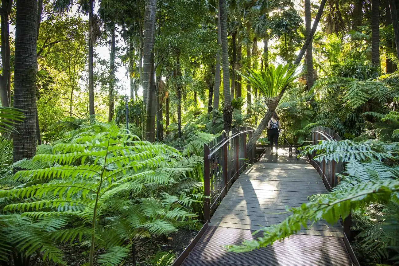 Royal Botanic Gardens Victoria: Passeggiata nel Patrimonio Aborigeno, Melbourne, Australia, Melbourne Tickets.
