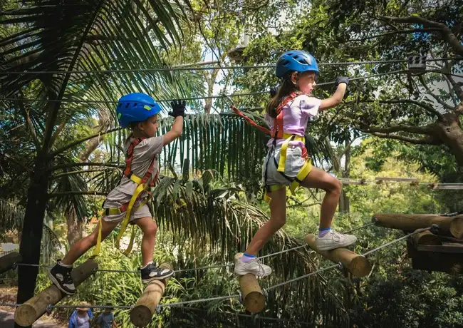 Treetops Adventure Yeodene Park: Corso di corde per bambini, Birregurra, Australia, Melbourne Tickets.