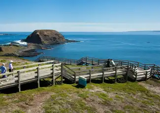 Circuit express des pingouins de Phillip Island au départ de Melbourne, Melbourne, Australie, Melbourne Tickets.