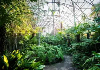 Domaine de Rippon Lea : Billet d'entrée, Elsternwick, Australie, Melbourne Tickets.