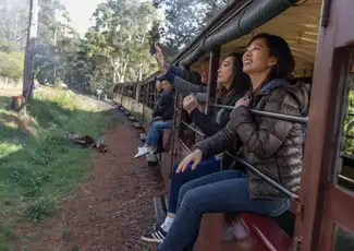 Chemin de fer de Puffing Billy : Excursion et découverte de la faune et de la flore + transferts, Belgrave, Australie, Melbourne Tickets.