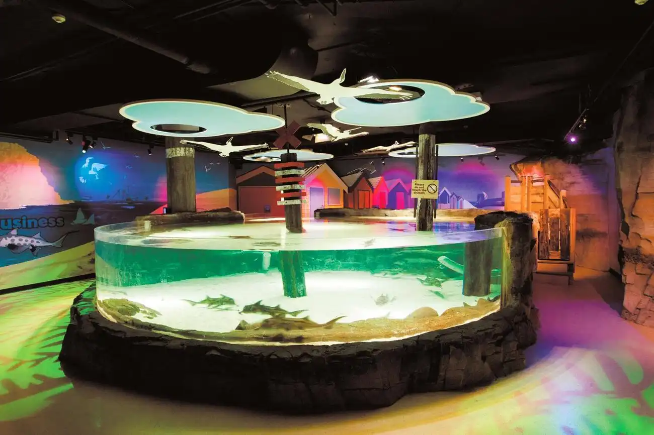 Shark Dive Xtreme al Sea Life Melbourne, Melbourne, Australia, Melbourne Tickets.