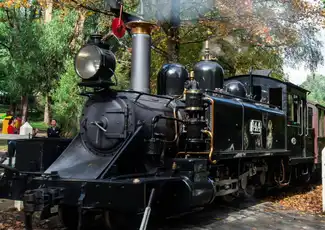 Puffing Billy & Phillip Island Penguin Parade: Bus- og togtur fra Melbourne, Melbourne, Australien, Melbourne Tickets.