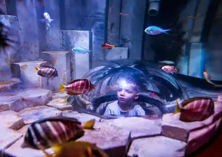 SEA LIFE Melbourne Aquarium: Entry Ticket, Melbourne, Australia, Melbourne Tickets.