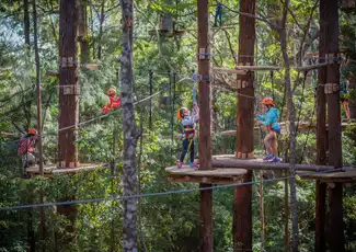 Treetops Adventure Belgrave : Billet d'entrée, Belgrave, Australie, Melbourne Tickets.