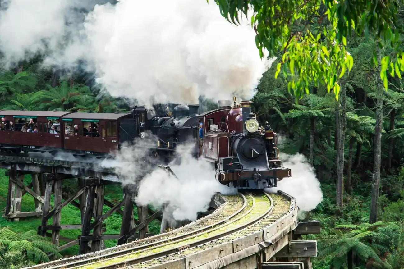 Circuit panoramique en bus depuis Melbourne avec Puffing Billy et le sanctuaire de Healesville, Belgrave, Australie, Melbourne Tickets.