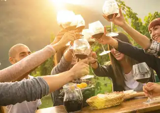 Mornington Peninsula: Day Tour + Gondola Ride + Lunch + Wine & Chocolate Tasting, Melbourne, Australia, Melbourne Tickets.